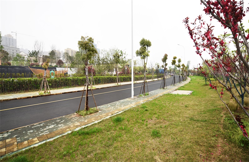 AG8�콢����(�й�)������ҳ