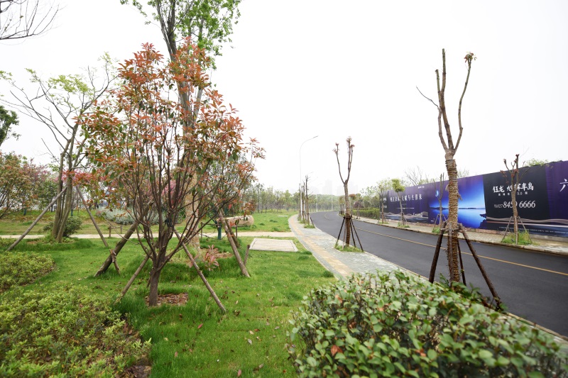 AG8�콢����(�й�)������ҳ