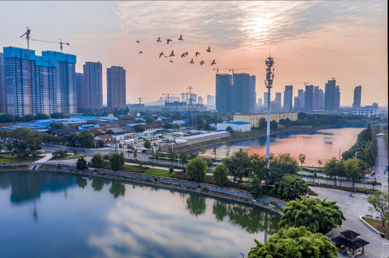 AG8�콢����(�й�)������ҳ