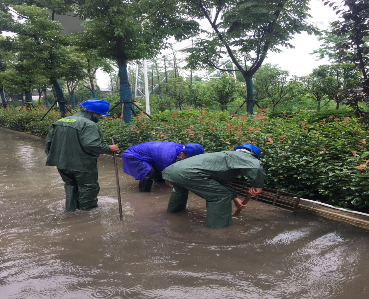 AG8�콢����(�й�)������ҳ