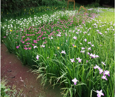 AG8�콢����(�й�)������ҳ