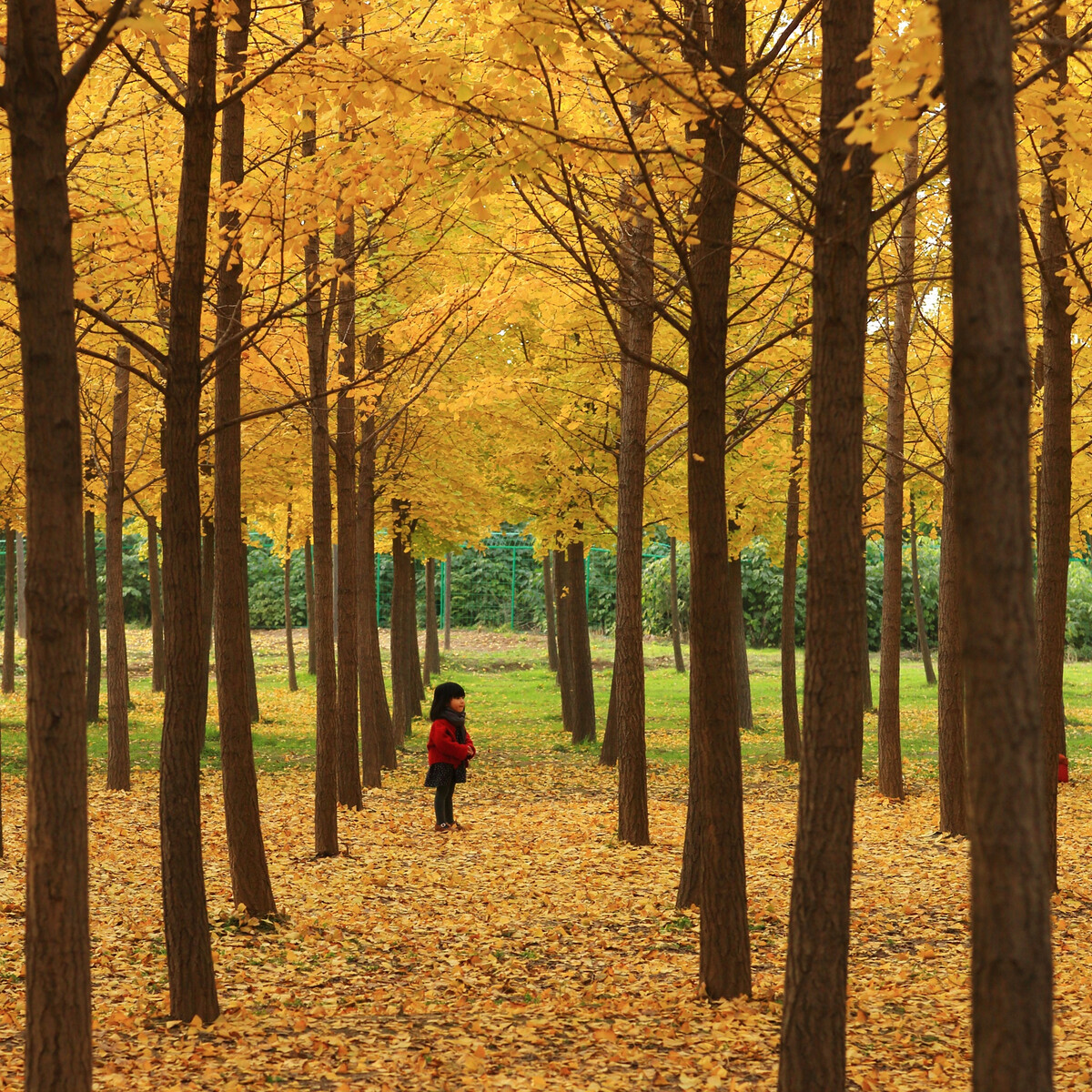 AG8�콢����(�й�)������ҳ