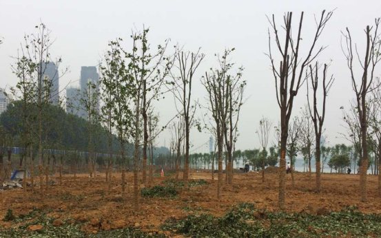 AG8�콢����(�й�)������ҳ