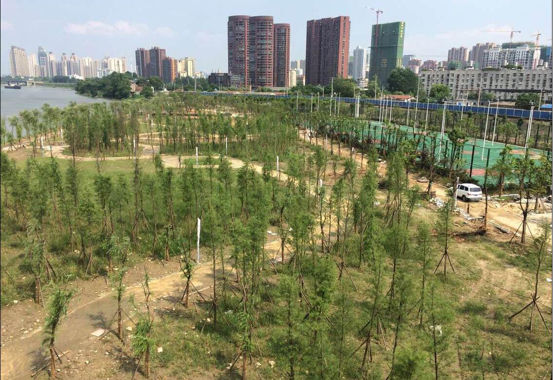 AG8�콢����(�й�)������ҳ