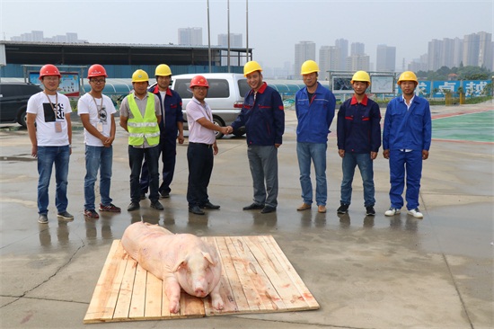 AG8�콢����(�й�)������ҳ