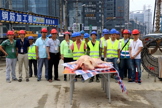 AG8�콢����(�й�)������ҳ