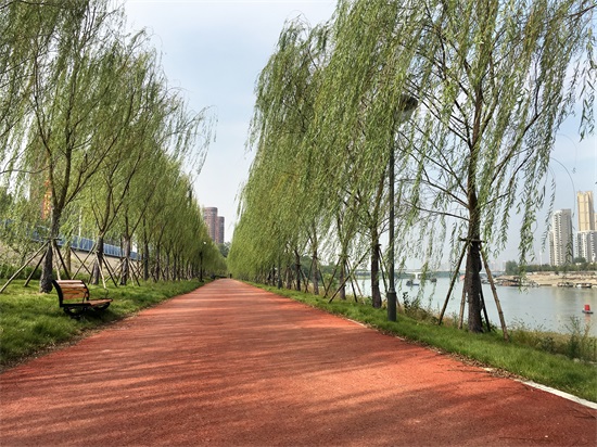 AG8�콢����(�й�)������ҳ