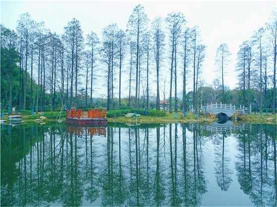 AG8�콢����(�й�)������ҳ