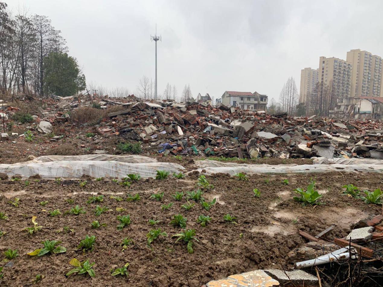 AG8�콢����(�й�)������ҳ